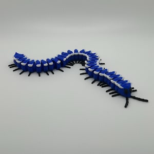 Millipede Fidget Millipede Fidget