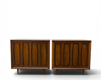 Vintage Cabinet Pair