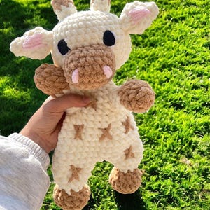 Baby Giraffe