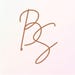 BitSpring store logo