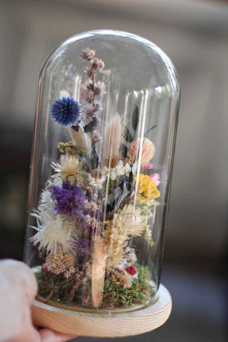Large Dried Flowers Glass Dome Floral Cloche Dried Flowers Etsy