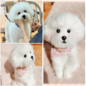 Custom Bichon Frise Plush, Custom Stuffed Dog, Custom Crochet Dog, Custom Stuffed Animal, Personalized Pet Gift, Pet Stuffed Animal