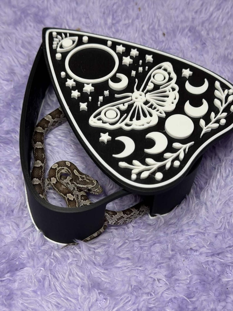 May include: A black and white decorative Ouija board-shaped box with celestial designs, including a moth, moons, and stars. A brown and gray snake is inside the box, which is resting on a purple, fuzzy surface.