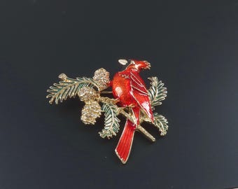 Napier Cardinal Brooch