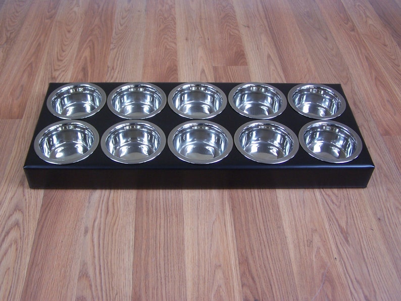 10 Bowl Puppy Litter Feeder Powdercoated Steel Feeding Station Etsy