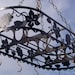 Iron Pot Rack French Vineyard California Grape Leaf Design Copper Hooks ...