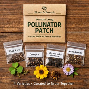 Season-Long Pollinator Patch - Meadow Style Seed Bundle