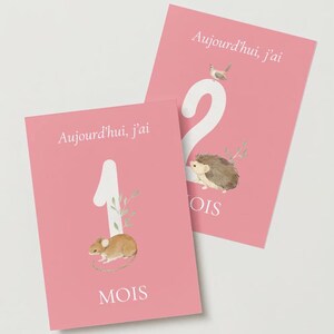Cartes étapes bébé fille à imprimer - chiffres avec animaux forêt - Cartes à imprimer
