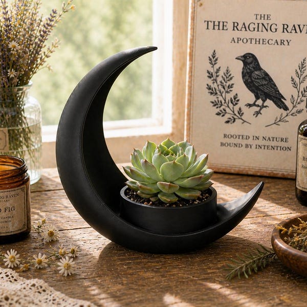 Crescent Moon Planter | Witchy Gothic Altar Decor, Crystal Holder