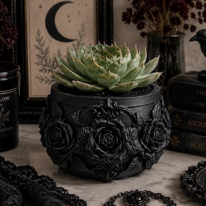 May include: A round black planter featuring a relief design of sculpted roses and leaves around the exterior. A light green succulent plant is potted inside the container, which sits among various dark decorative objects and books.