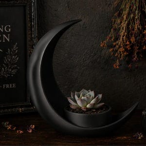 Crescent Moon Planter | Witchy Decor | Gothic Moon Holder | Celestial Altar Decor | Crystal Holder | Dark Academia Home Decor