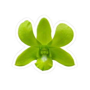 Adesivo fustellato a forma di fiore di orchidea mela verde Dendrobium, in vinile lucido, floreale, per laptop, borraccia, diario, album, planner.