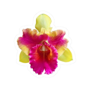 Rosa und Gelb Cattleya Schöne Miracle Orchidee Blumen Kiss-Cut Aufkleber, Blumenaufkleber für Laptop, Wasserflasche, Scrapbook, Planer
