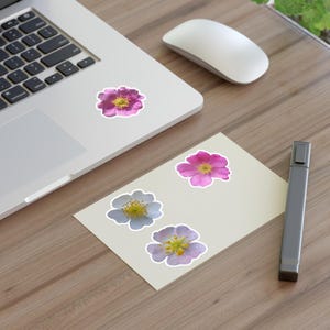 Wild Rose Flower Sticker Sheet, Set of 4 Stickers Sheet for Journals & Laptops