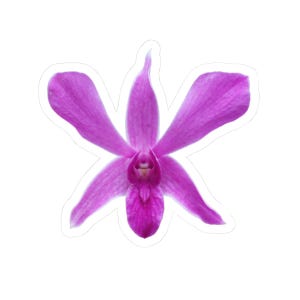 Purple Dendrobium Enobi Orchid Flower Kiss-Cut Sticker, Glossy Vinyl Floral Decal for Laptop, Water Bottle, Journal, Scrapbook, Planner