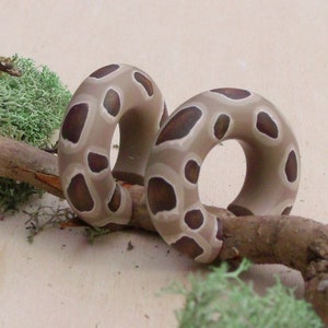 Può includere: Due orecchini a cerchio in legno con un motivo marrone e bianco. I cerchi sono appoggiati su un ramo con muschio verde.