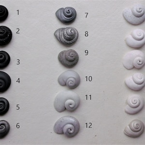Peut inclure: Dix-huit coquillages en c&eacute;ramique de diff&eacute;rentes nuances de gris, noir et blanc, dispos&eacute;s en trois rang&eacute;es de six. Les coquillages sont num&eacute;rot&eacute;s de 1 &agrave; 18.