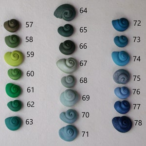 Peut inclure: Un nuancier de 12 coquillages en p&acirc;te polym&egrave;re verte et 12 bleus. Les coquillages sont dispos&eacute;s en deux colonnes, les coquillages verts &agrave; gauche et les bleus &agrave; droite. Chaque coquillage est num&eacute;rot&eacute;, de 57 &agrave; 78.
