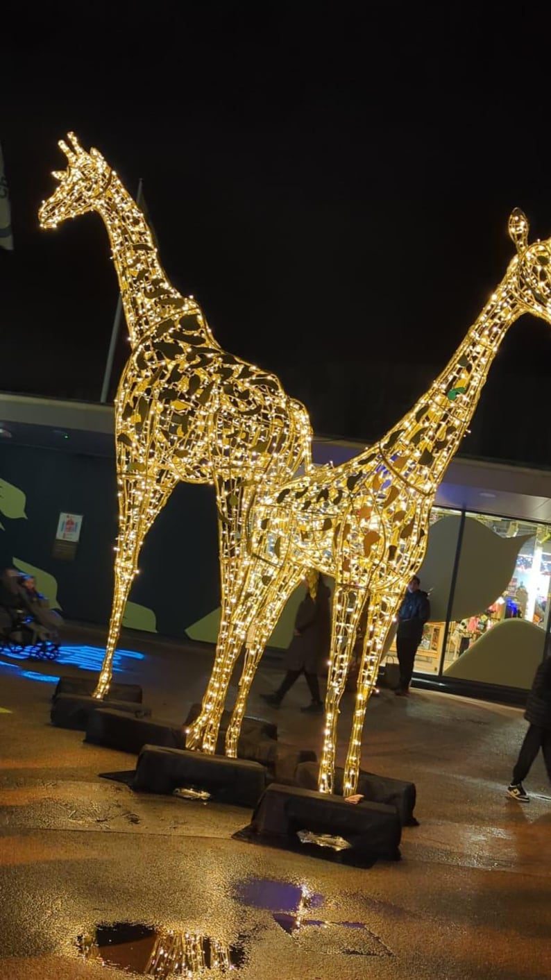 Peut inclure: Deux sculptures de girafes dor&eacute;es faites de lumi&egrave;res, debout sur un trottoir mouill&eacute; la nuit. Les girafes sont &eacute;clair&eacute;es par des lumi&egrave;res blanches chaudes, cr&eacute;ant une ambiance festive.