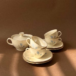 Richard ginori ariston - Etsy 日本