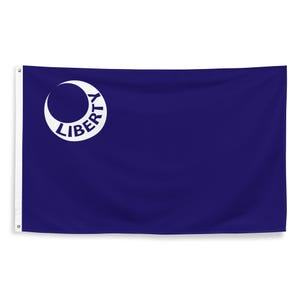 Fort Moultrie South Carolina Flag - American Revolution Historical Flag - Patriotic United States History - 87cm x 142cm - 34.5in x 56in