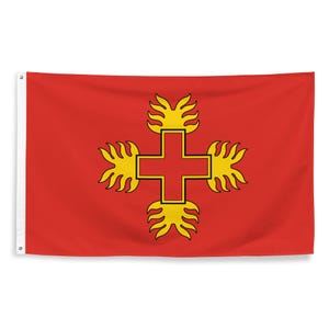 Order of the Dragon Flag - Medieval Chivalric Order Wall Decor - Hungarian European Christian Banner Gift - 87cm x 142cm - 34.5in x 56in