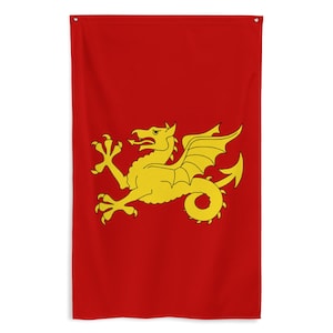 Kingdom of Wessex Banner - Golden Wyvern Anglo Saxon England - English History Alfred the Great Flag Gift - 87cm x 142cm - 34.5in x 56in