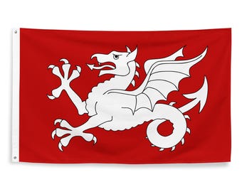 White Wyvern Anglo Saxon Flag - Anglo-Saxon England Decor - English History 1066 Battle of Hastings Flag Gift - 87cm x 142cm - 34.5in x 56in