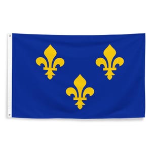 Kingdom of France Flag - Medieval French History Wall Decor - Historical European France Banner Gift - 87cm x 142cm - 34.5in x 56in