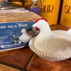 Hen on Nest
