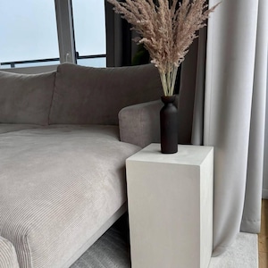 Puede incluir: Un pedestal de hormigón blanco con un jarrón negro lleno de hierba de la pampa seca en la parte superior. El pedestal está sentado en una alfombra blanca frente a un sofá gris.