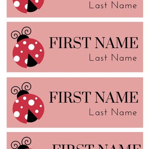 Editable and Printable Classroom Name Tags - Lady Bug Design