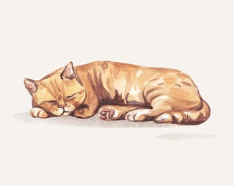 Lámina de gato para guardería, gatos con personalidad, imprimible digital, arte de pared para niñas, decoración de habitación de bebé, arte de pared de gato, pósteres de gatos, juego de 4