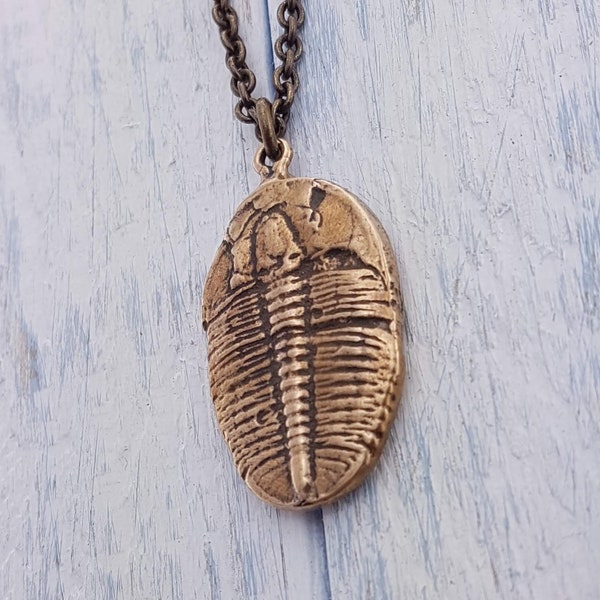 Gold Trilobite Necklace Fossil Pendant Fossil Jewelry Ocean Jewelry Prehistoric Artifact Insect Jewelry Unique Style Archeologist Gift