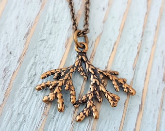 Collier de cèdre, bijoux de cèdre d'or, collier botanique, branche de cèdre, bijoux de nature, charme de cèdre, bijoux de jardinier, cadeau pour le jardinier