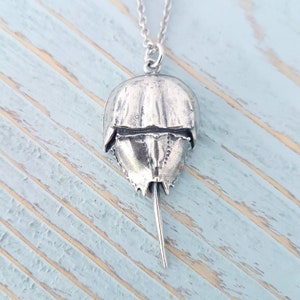 Horseshoe Crab Necklace Solid 925 Sterling Silver Horseshoe Crab Pendant Beach Jewelry Nature Necklace image 4