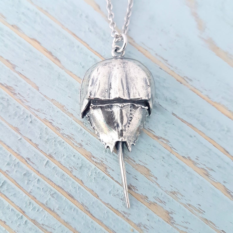 Horseshoe Crab Necklace Solid 925 Sterling Silver Horseshoe Crab Pendant Beach Jewelry Nature Necklace image 4