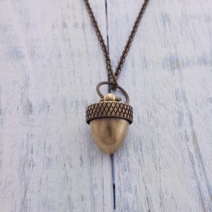 Può includere: Una collana in ottone con un ciondolo a forma di ghianda, con un cappello di ghianda testurizzato e dettagliato e un corpo di ghianda liscio e arrotondato. La collana presenta una catena semplice.