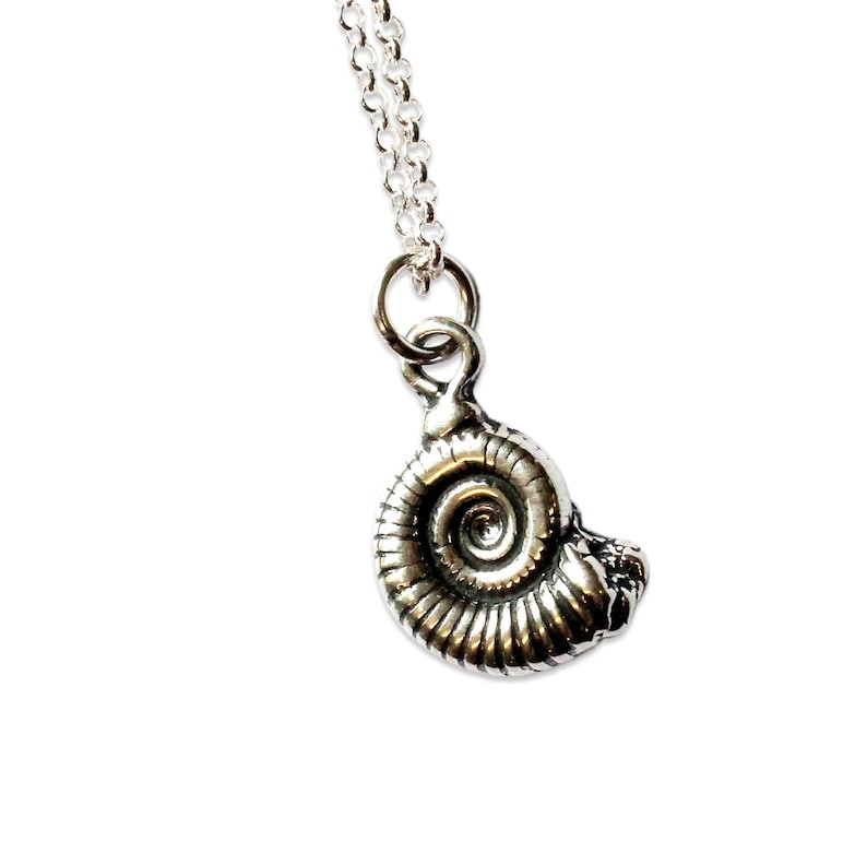 Sterling Silver Ammonite Fossil Necklace, Tiny Fossil Necklace, Fossil Necklace, Ammonites Charm, Dinosaur Fossil Jewelry, Nautilus Necklace image 3