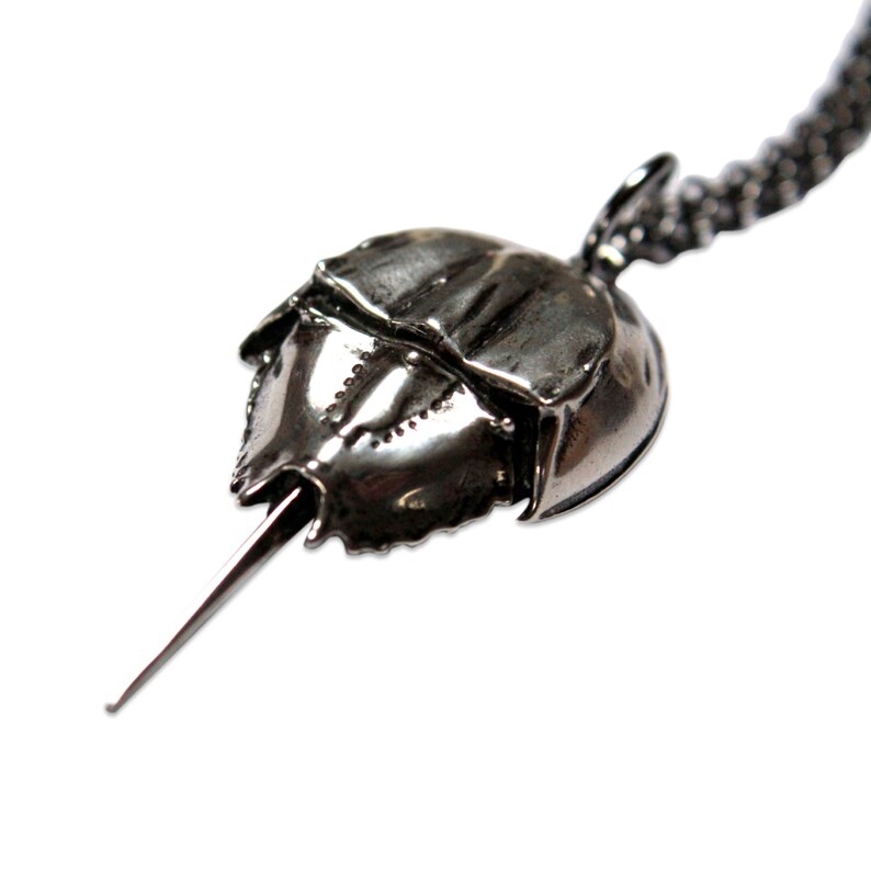 Horseshoe Crab Necklace Silver Horseshoe Crab Jewelry Etsy