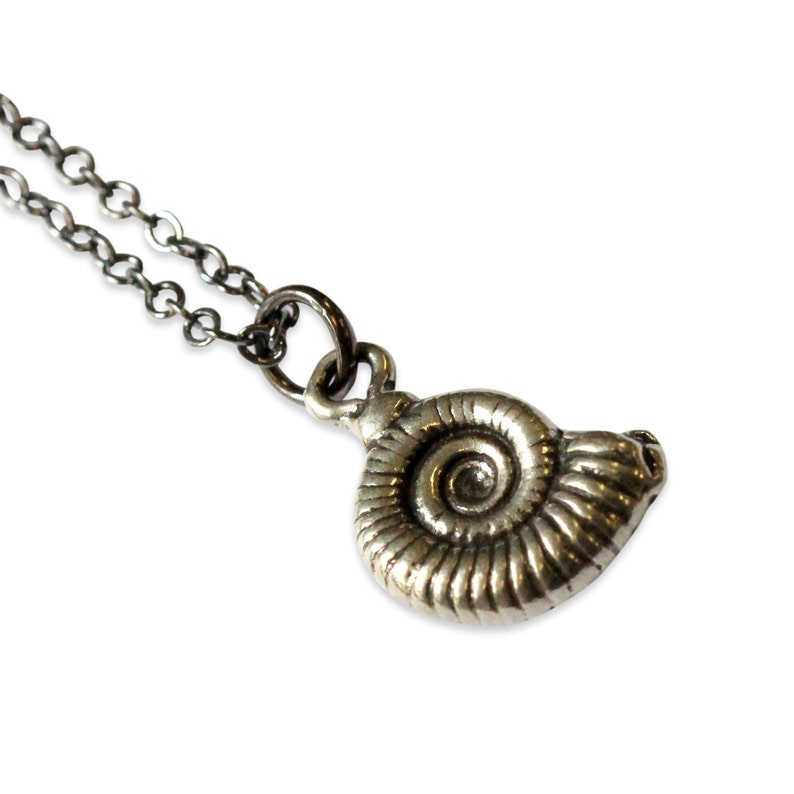 Silver Ammonite Fossil Necklace Tiny Fossil Necklace, Fossil Necklace, Ammonites Charm, Dinosaur Fossil Jewelry, Nautilus Necklace image 3