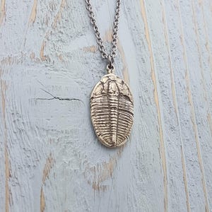 Silver Trilobite Necklace Fossil Pendant Fossil Jewelry Ocean Jewelry Prehistoric Artifact Insect Jewelry Unique Style Archeologist Gift