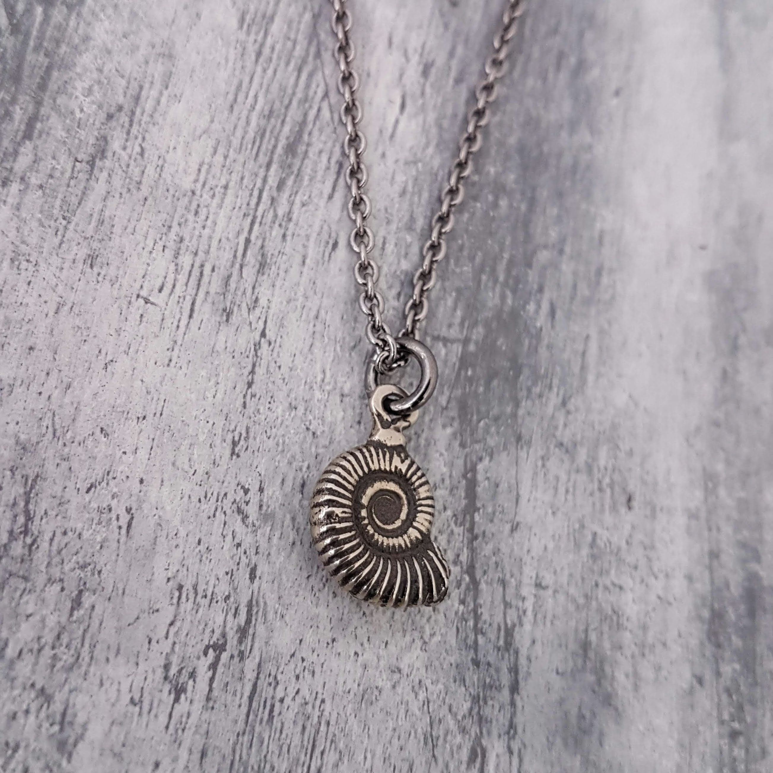 Silver Ammonite Fossil Necklace Tiny Fossil Necklace Fossil Etsy