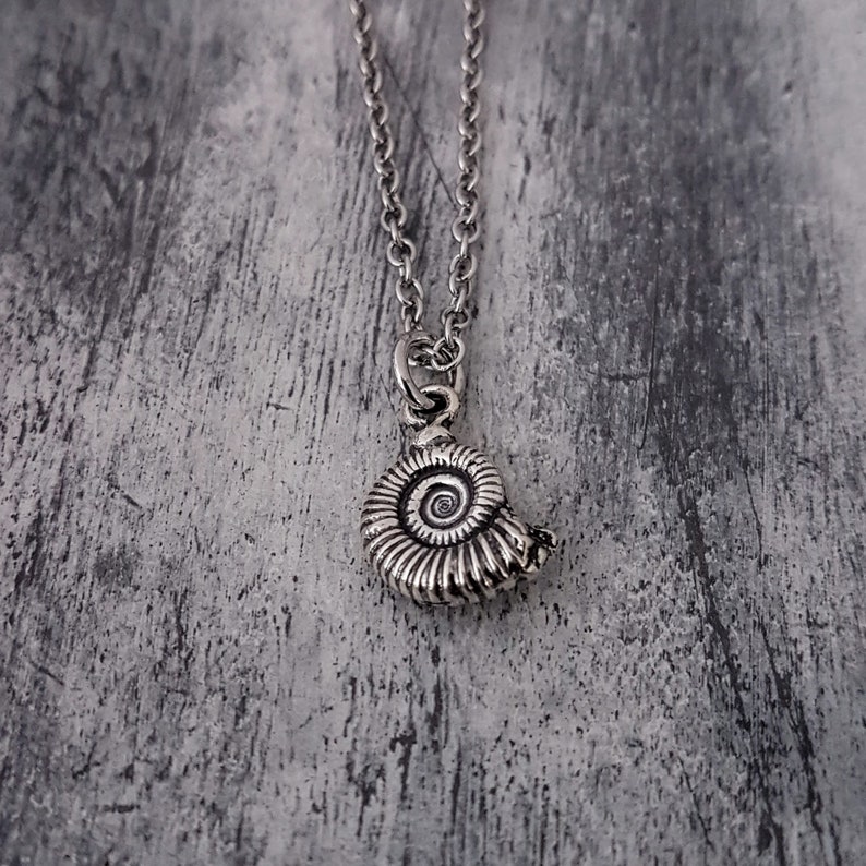 Silver Ammonite Fossil Necklace Tiny Fossil Necklace, Fossil Necklace, Ammonites Charm, Dinosaur Fossil Jewelry, Nautilus Necklace image 2