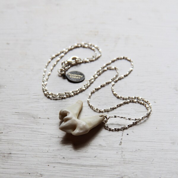 Last one TAXIDERMY COUTURE Wolf Tooth 925 Sterling Silver Chain