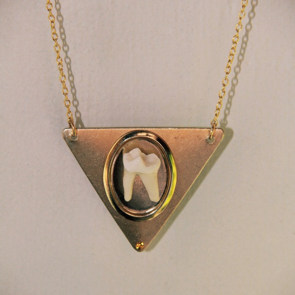 TAXIDERMY COUTURE Coyote Molar Tooth Geometric Brass Triangle Necklace Original Design