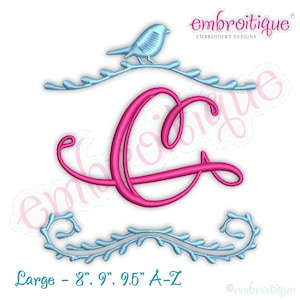 Bird Frame Monogram Font  LARGE sizes -  - BX files included- Instant Download EMBROIDERY design