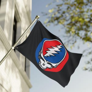May include: A black rectangular flag attached to a metal pole, featuring a centered graphic of a white skull with a blue and red lightning bolt design. The flag is displayed outdoors, waving slightly against a blurred architectural background.