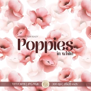 Può includere: Motivo floreale senza cuciture con papaveri rosa su sfondo bianco. Il design include il testo "Poppies in white" e "Production Ready". L'immagine è di 50,8 x 50,8 cm e 300 dpi.