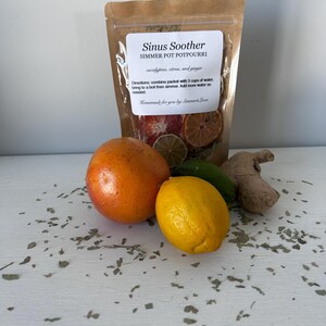 May include: A brown paper bag labeled "Sinus Soother Simmer Pot Potpourri" with eucalyptus, citrus, and ginger. The bag is next to a grapefruit, a lemon, a cucumber, and a piece of ginger. Dried herbs are scattered around the items.